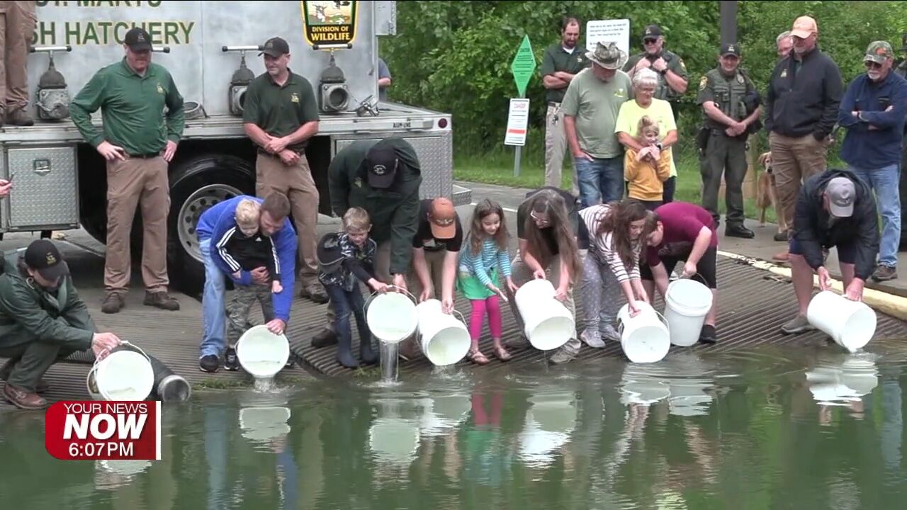 Ohio Division of Wildlife stocks saugeye in Grand Lake St. Marys